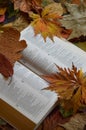 Bible between colorful autumn leaves