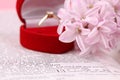 Bible and engagement ring Royalty Free Stock Photo