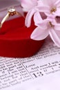 Bible and engagement ring Royalty Free Stock Photo