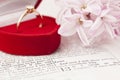 Bible and engagement ring Royalty Free Stock Photo