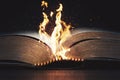 Bible on fire