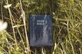 Bible in green grass. Reading the Holy Bible. Concept for faith, spirituality and religion