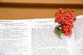 Bible and holly berries Royalty Free Stock Photo