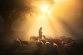 Bible Jesus Shepherd with His Flock of Sheep