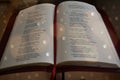 The Bible in light and roses. Royalty Free Stock Photo