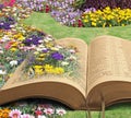 Bible memorial paradise park Royalty Free Stock Photo