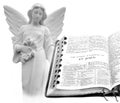 Bible New Testament St. John Angel Royalty Free Stock Photo