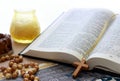 Bible opened. Royalty Free Stock Photo