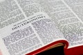 Bible Page - Deuteronomy Royalty Free Stock Photo