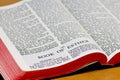 Bible Page - Esther Royalty Free Stock Photo