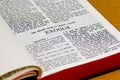 Bible Page - Exodus Royalty Free Stock Photo