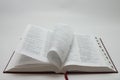 Bible pages
