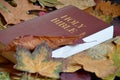 Bible between colorful autumn leaves