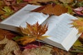 Bible between colorful autumn leaves