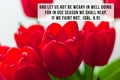 Bible quotes on blooming red tulip flower background. Card with text sign for believers. Inspirational verse thoughts