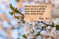 Bible quotes on blurred nature background. Card with text sign for believers. Inspirational verse thoughts for praying