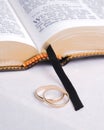 Bible and Rings 1 Royalty Free Stock Photo