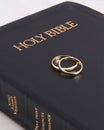 Bible Rings 2 Royalty Free Stock Photo