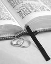 Bible and Rings Royalty Free Stock Photo