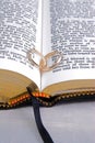 Bible & Rings Closeup 3 Royalty Free Stock Photo
