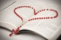 Bible and Rosary Royalty Free Stock Photo