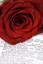 Bible and Rose Royalty Free Stock Photo