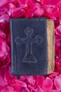 Bible on roses Royalty Free Stock Photo