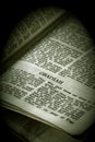 Bible Series Obadiah sepia Royalty Free Stock Photo