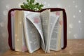 A Bible with some roses. Royalty Free Stock Photo