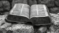 Bible on a stone background. Black and white photo of an old book