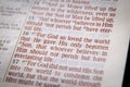 Bible Text - God So Loved The World - John 3:16