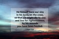 Bible verse quote - Him himself bore our sins in his body on the cross, so that we might die to sins and live for righteousness Royalty Free Stock Photo