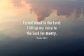 Bible verse quote - I cried aloud to the Lord, i lift up my voice to the Lord for mercy. Psalm 142:1 Sky reflection on the water.