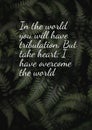 Bible verses ` In the World you will have tribulations But take heat i have Overcome the world john 16 ; 33 `