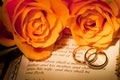 Bible wedding Royalty Free Stock Photo