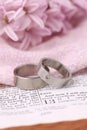 Bible and wedding rings Royalty Free Stock Photo