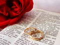Bible and wedding rings Royalty Free Stock Photo