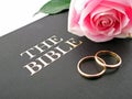 Bible, Wedding Rings and Rose Royalty Free Stock Photo