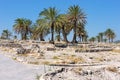 Biblical place of Israel: Megiddo