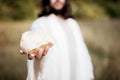 Biblical scene - of Jesus Christ handing out bread with a blurred background