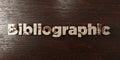 Bibliographic - grungy wooden headline on Maple - 3D rendered royalty free stock image