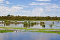 Bibra Lake Landscape: Save the Wetlands Royalty Free Stock Photo