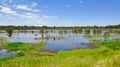 Bibra Lake Wetlands, Western Australia