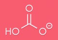 Bicarbonate anion, chemical structure. Common salts include sodium bicarbonate baking soda and ammonium bicarbonate. Skeletal.