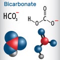 Bicarbonate anion HCO3 - structural chemical formula and mol