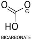 Bicarbonate anion molecule skeletal formula, chemical structure.