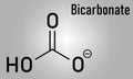 Bicarbonate anion skeletal formula, chemical structure. Flat design
