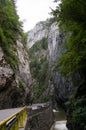Bicaz canyon Royalty Free Stock Photo