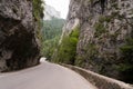 Bicaz canyon Royalty Free Stock Photo
