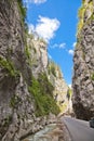 Bicaz Gorges